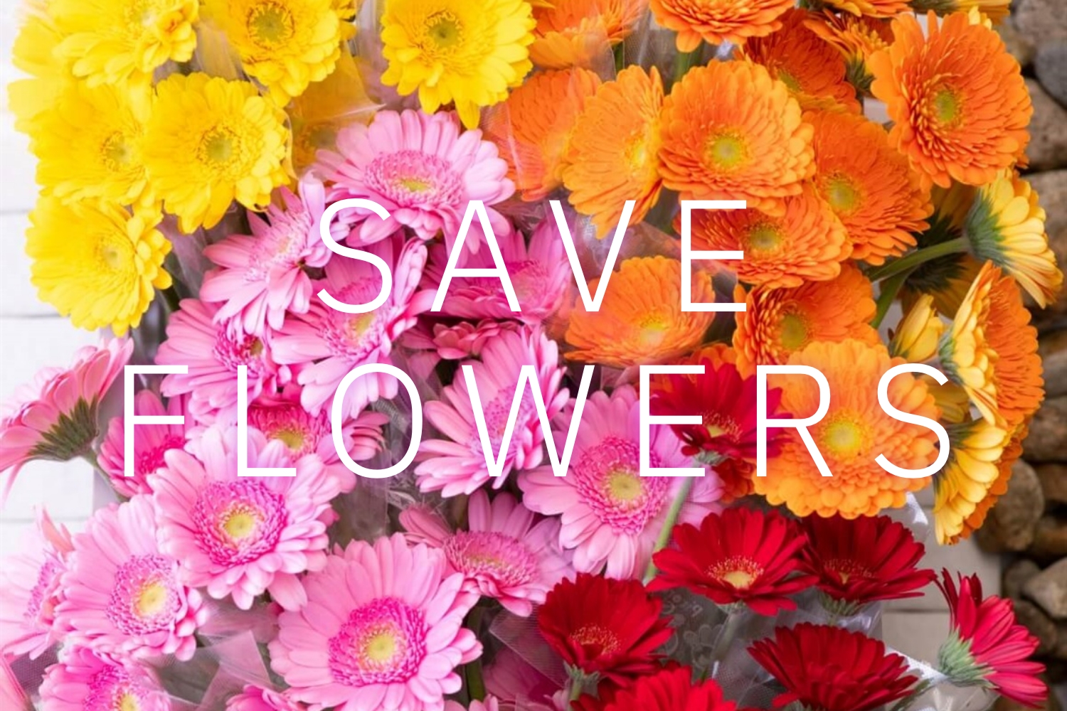 フラワーロスを救って笑顔の花を咲かせよう