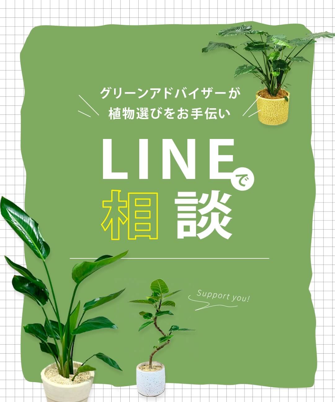 LINEで相談　グリーンアドバイザーが植物選びをお手伝い