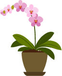 sec3_flowerPot.png