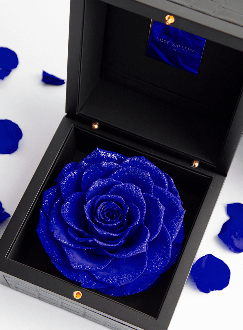 Timeless Rose | 花のギフト通販なら花百花 ‐hanahyakka‐