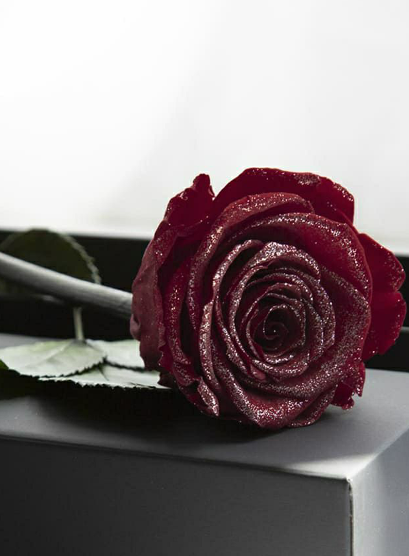Timeless Rose | 花のギフト通販なら花百花 ‐hanahyakka‐