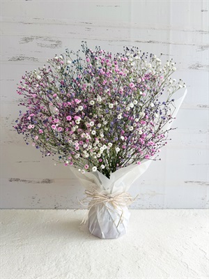 【母の日2026】colorfulかすみ草　スタンディングブーケ