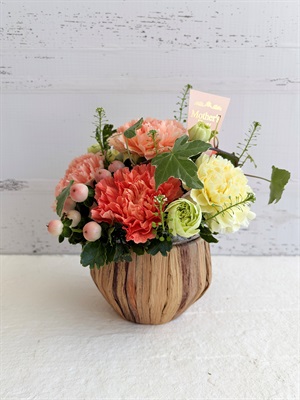 【母の日2026】カーネーションのアレンジメント［オレンジ］