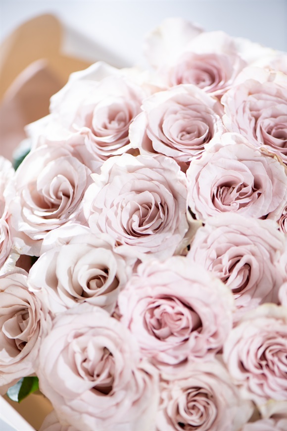 バラ30本の花束 ニュアンカラー | 花百花 ‐hanahyakka‐