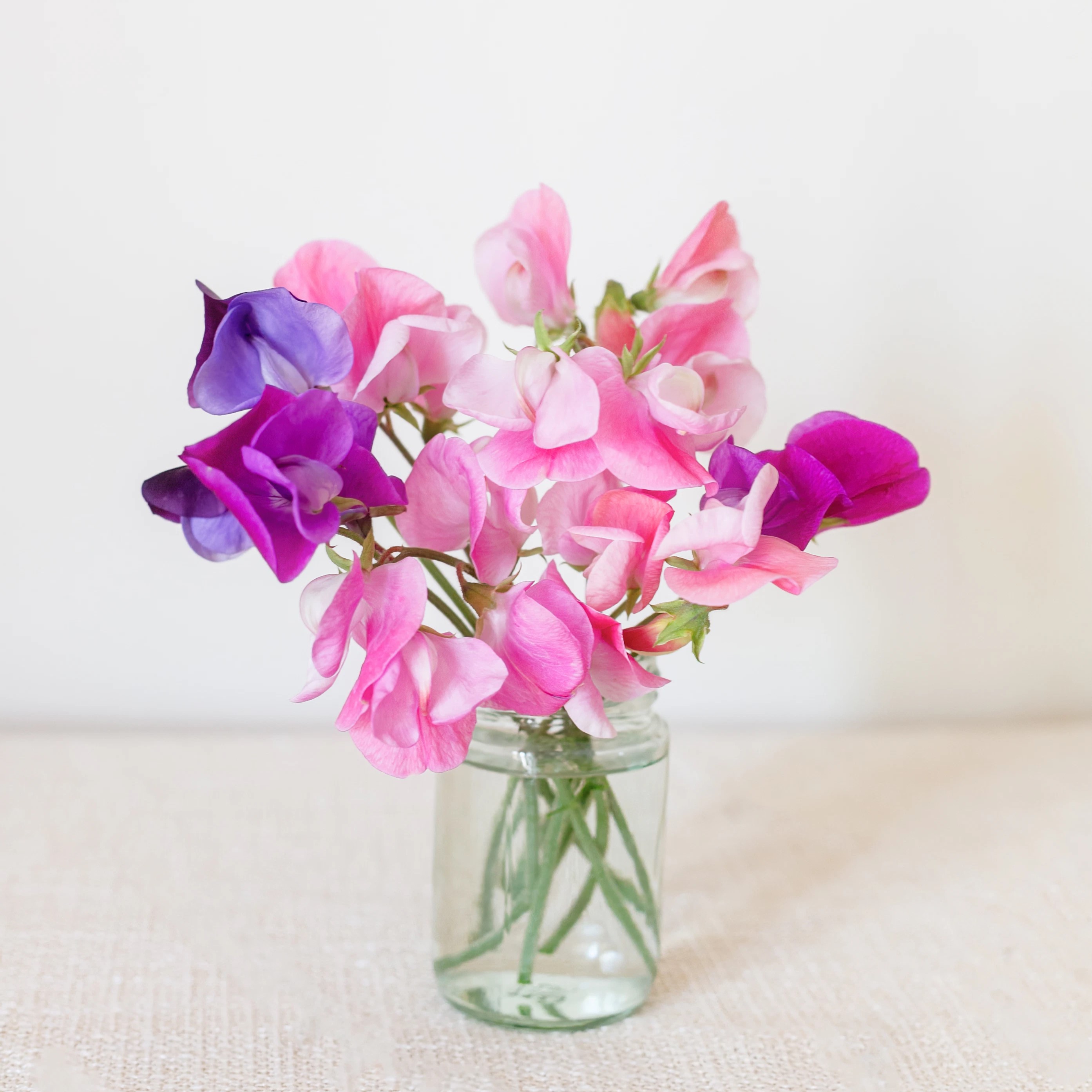 1月の誕生花は「スイートピー」！組み合わせにおすすめの花を紹介