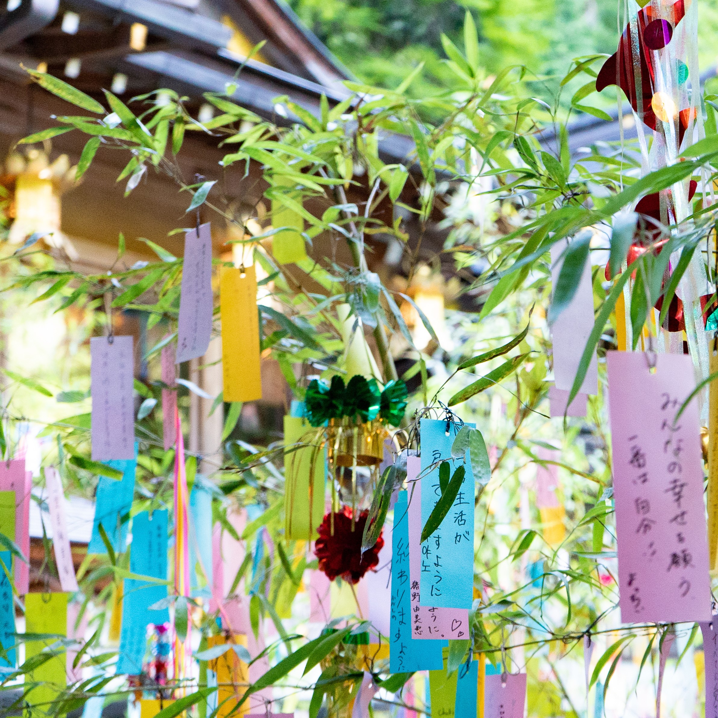 七夕で笹が使われ始めたのは江戸時代から！五色の短冊や飾りの意味も解説