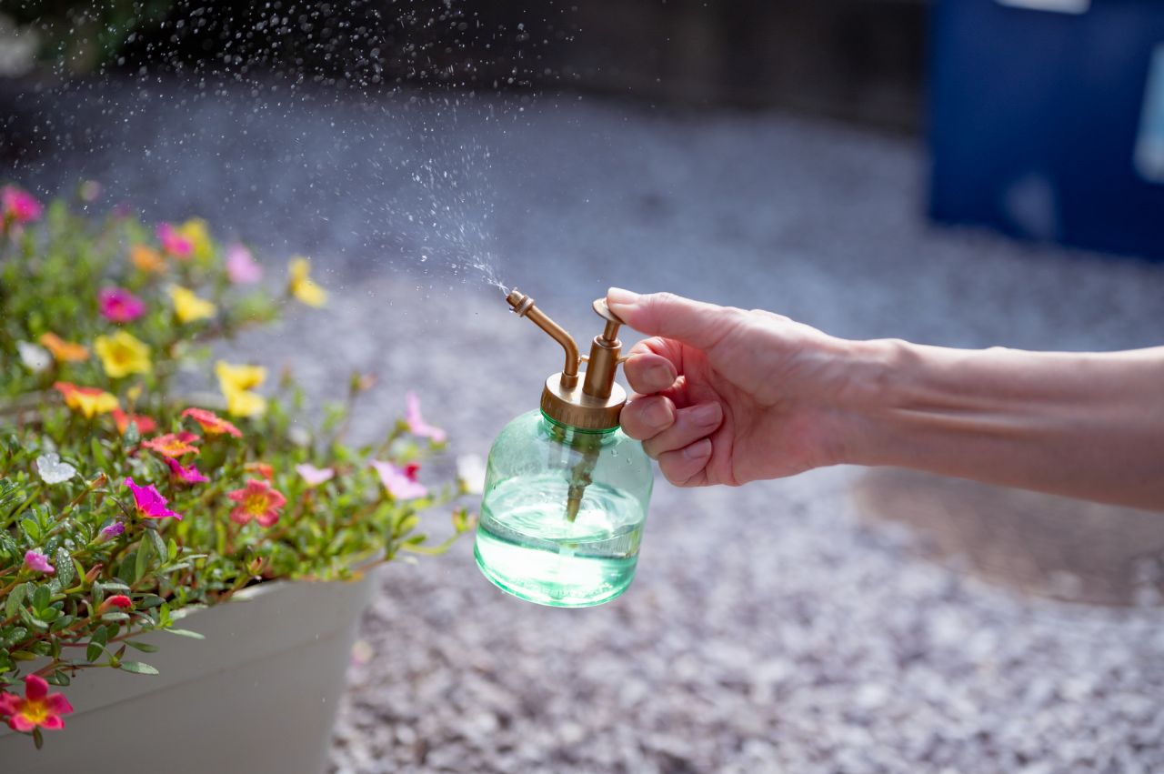 ガーデニングで育てやすい夏の花を選ぶコツ