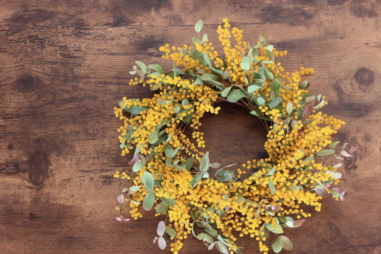 ミモザの花言葉にまつわるイベントに込められたメッセージ