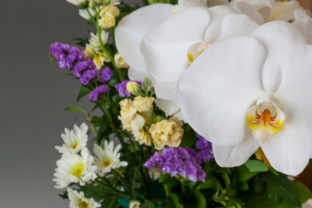 寿命の長い胡蝶蘭はお供えの花としておすすめ