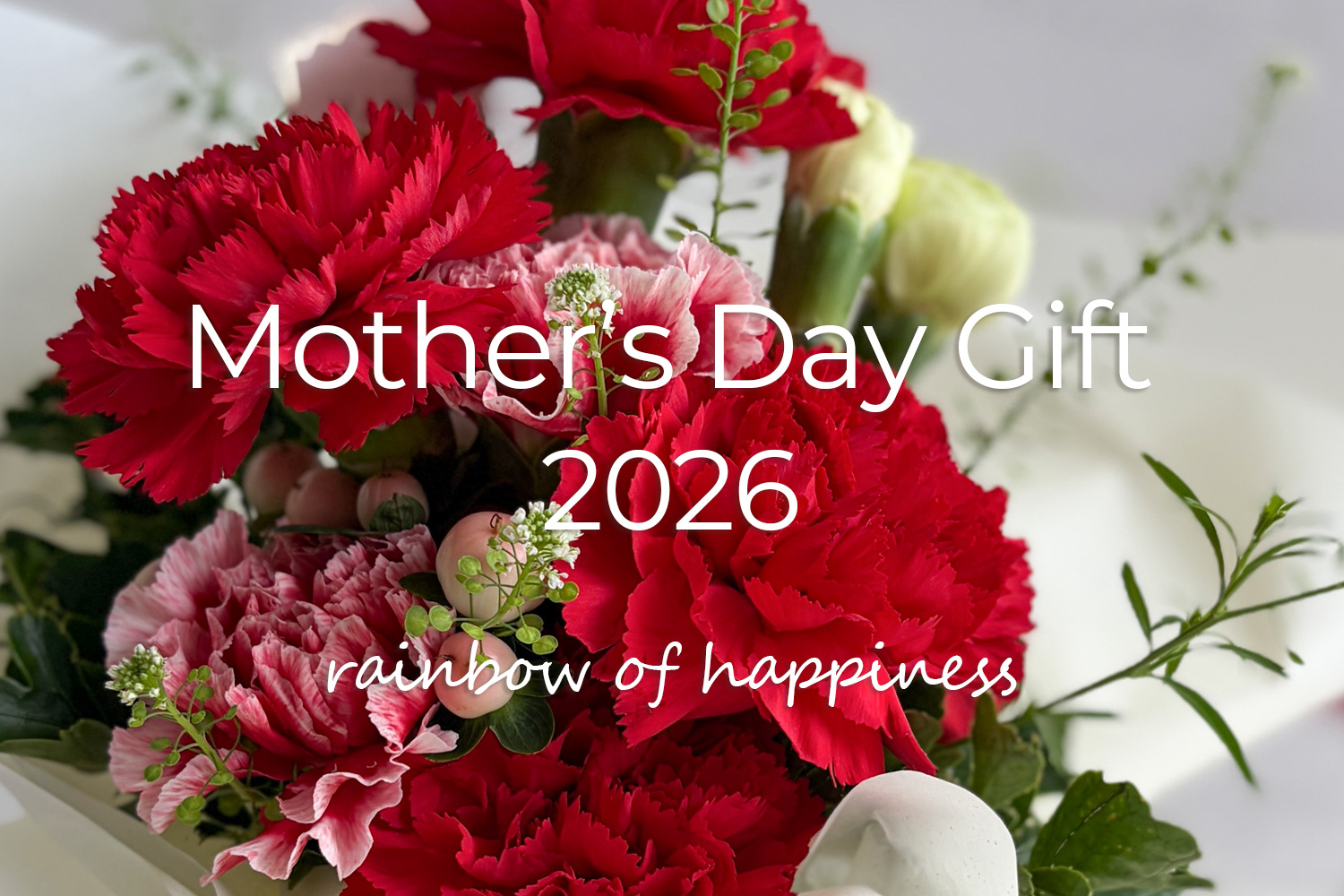 Mother's Day Gift 2026